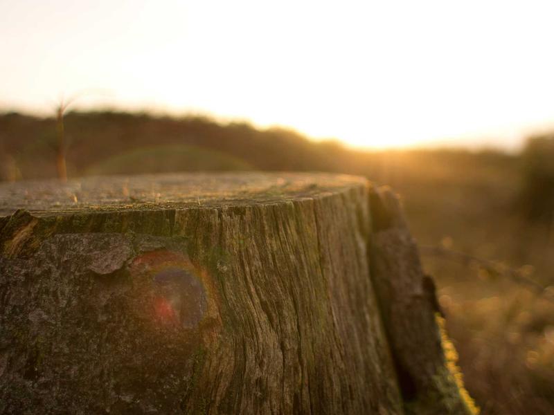 sudoku strategy guide screenshot 6